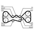 Zahnriemen - CONTINENTAL